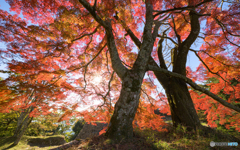 過去の記憶、今の記録