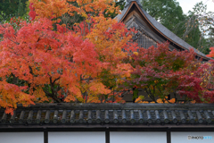 南禅寺・天授庵