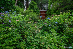 岩船寺