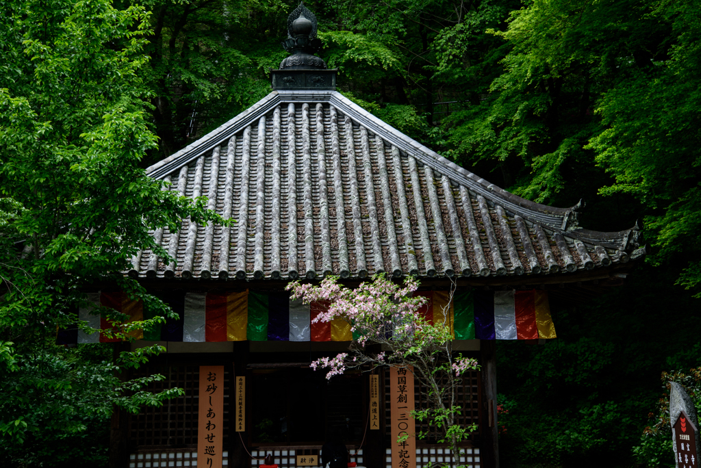 長谷寺