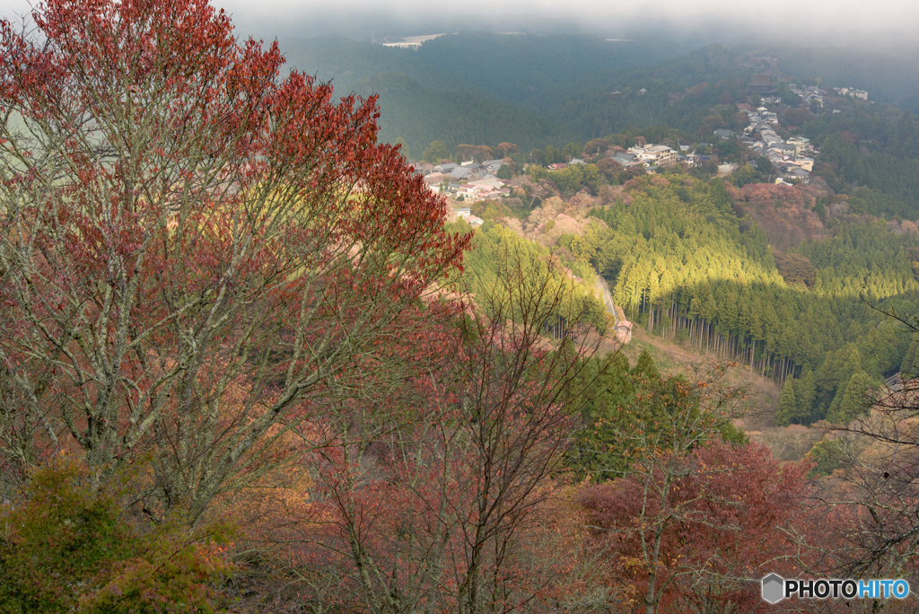 吉野・紅葉