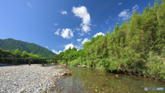 夏模様