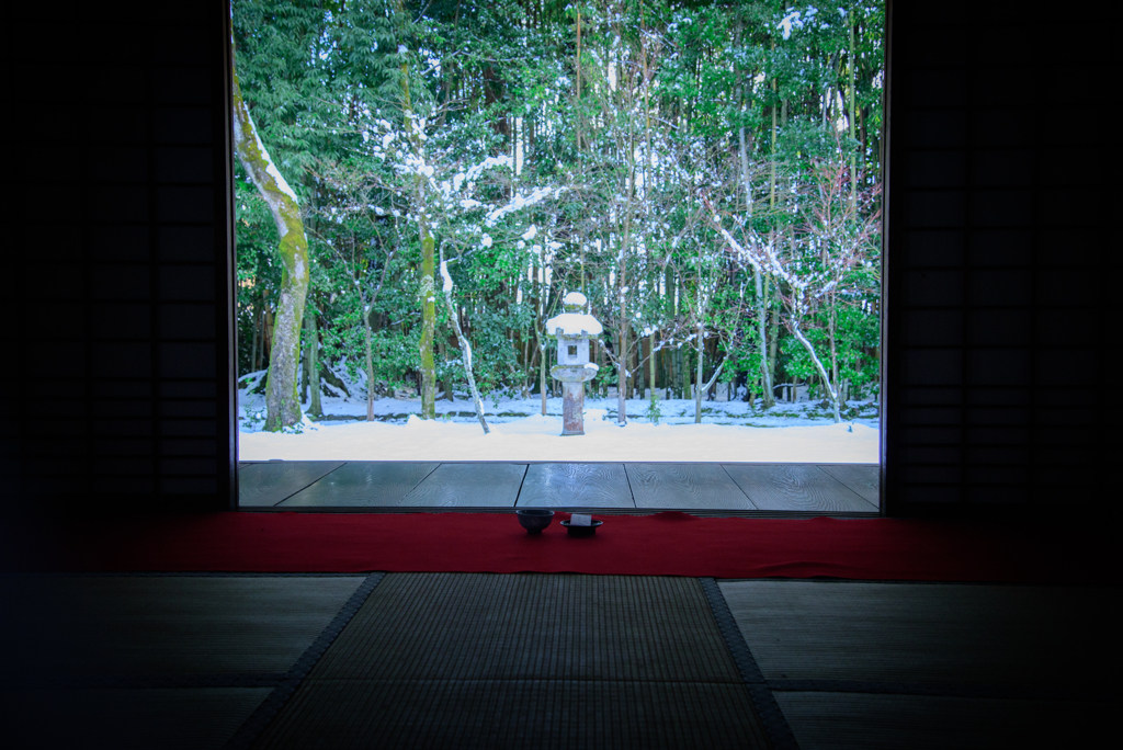 大徳寺・高桐院