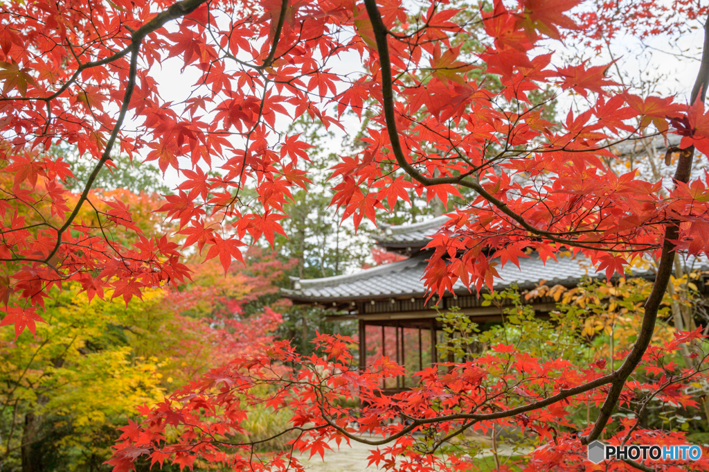 南禅寺・天授庵