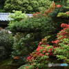 隋心院