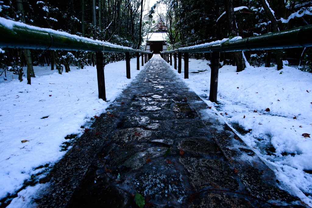 大徳寺・高桐院