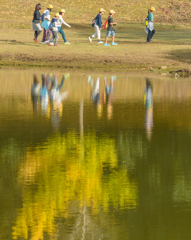 奈良公園