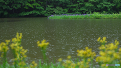 晴れの日も、雨の日も