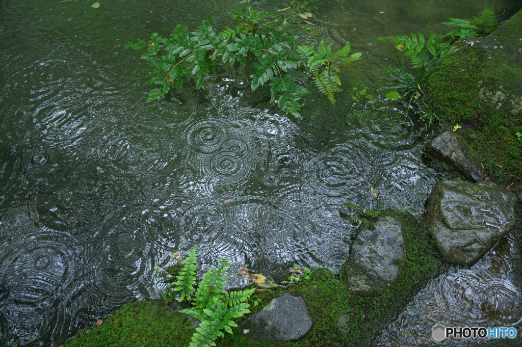 梅雨時、京都4