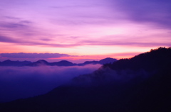 紫雲