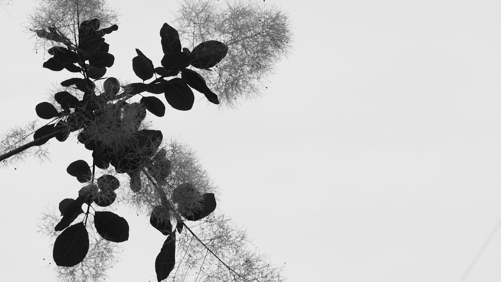 空