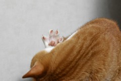 ぱあ