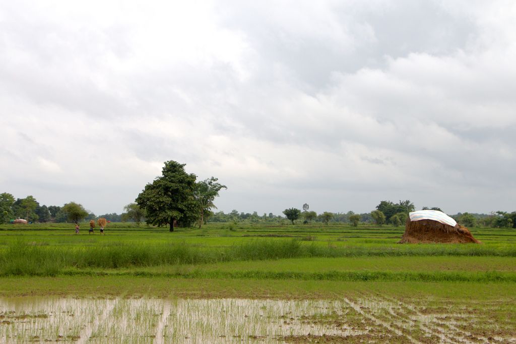 ミャンマーの田舎の日常