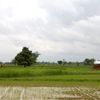 ミャンマーの田舎の日常