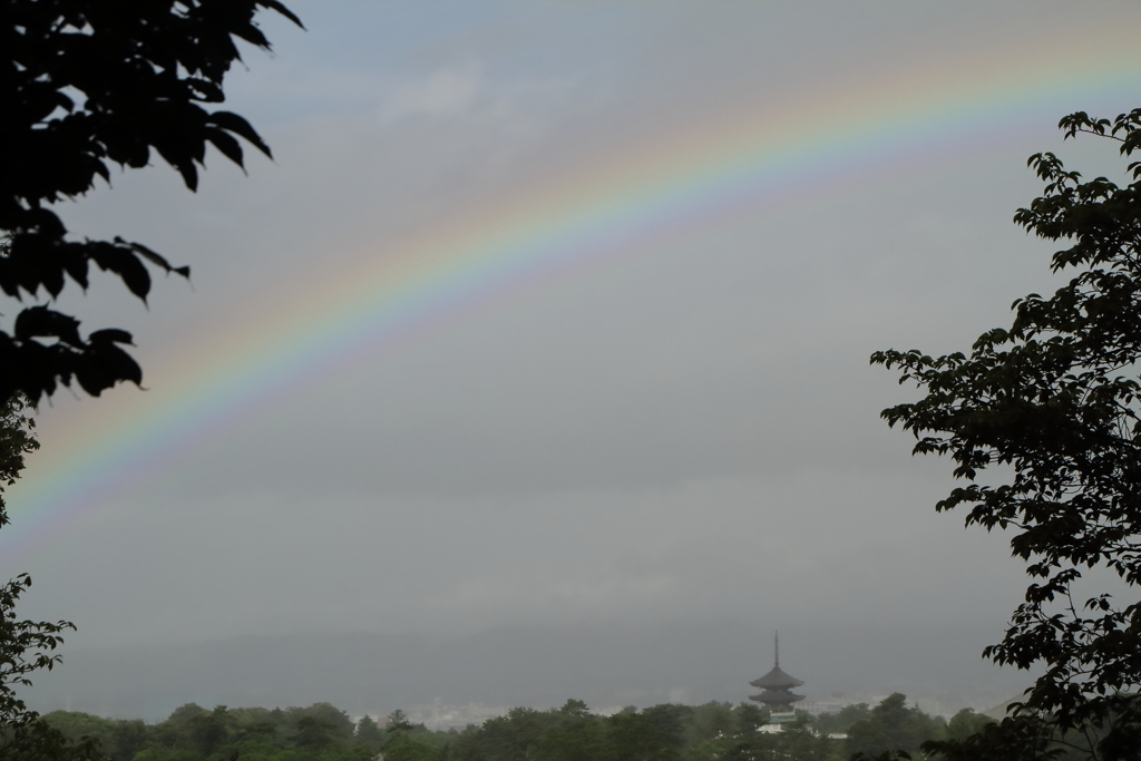 朝虹と興福寺五重塔
