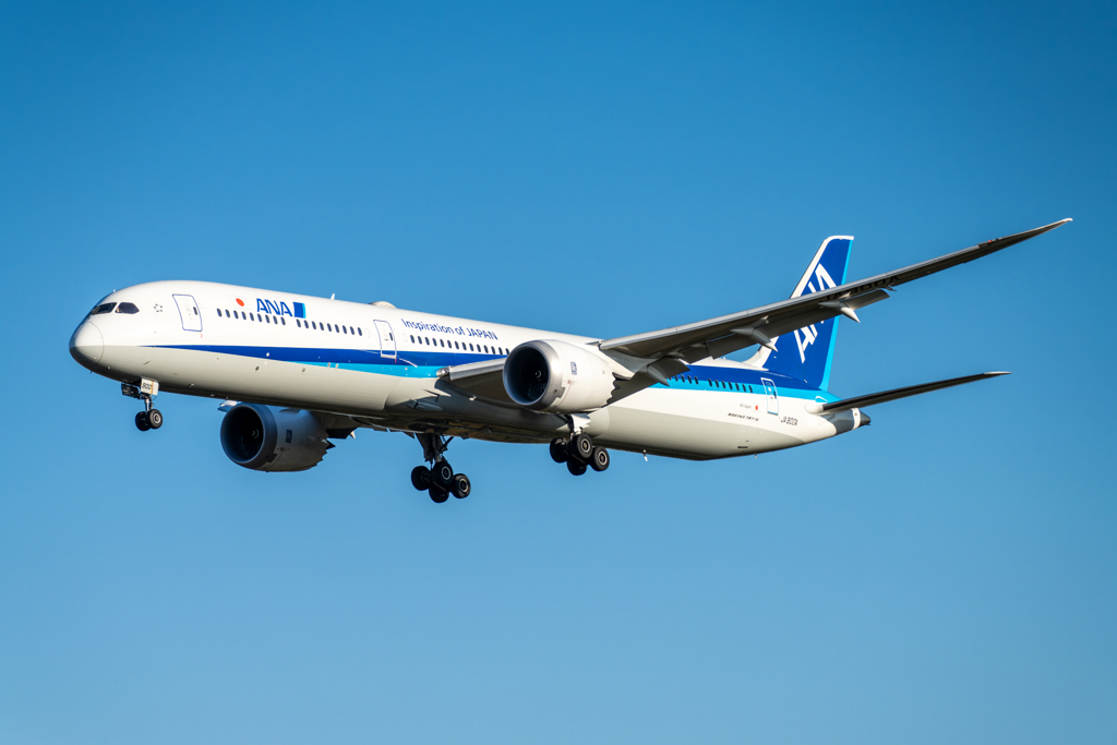 ANA B787