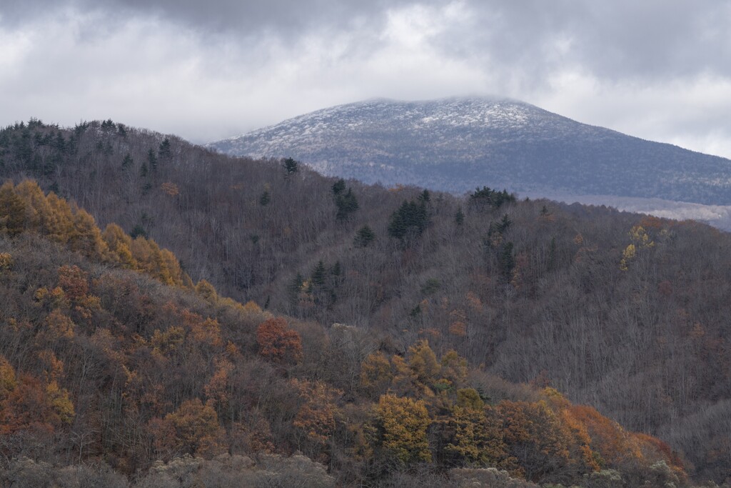 冠雪と紅葉