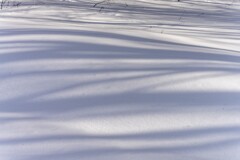 雪景色