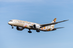 エディハド航空 B787