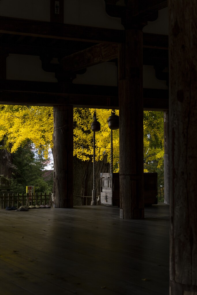 新宮熊野神社の紅葉②