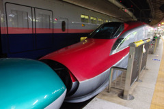 E6系 東北新幹線
