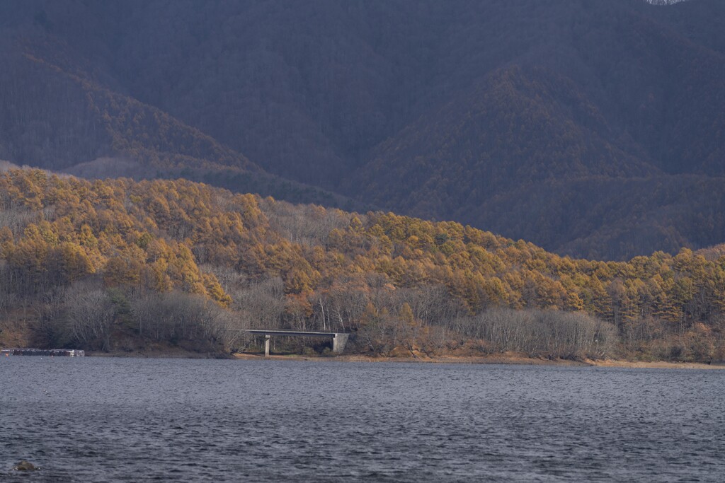 遠くの紅葉