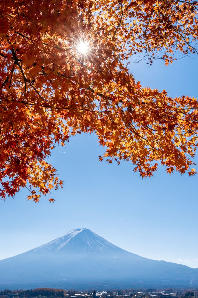 紅葉と富士山