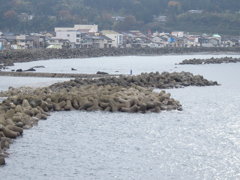 能生の海と海岸