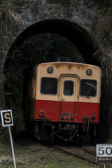 トンネルに入るキハ200系
