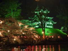 高田百万人観桜会
