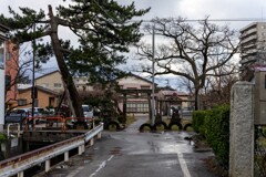 鳥居のある路地