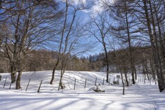 雪景色