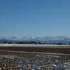 雪山と田園