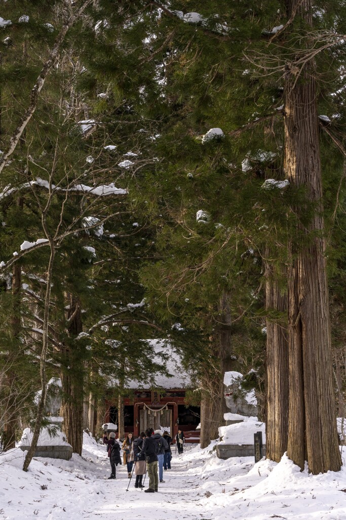 戸隠神社　随神門