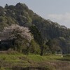 田舎風景と桜