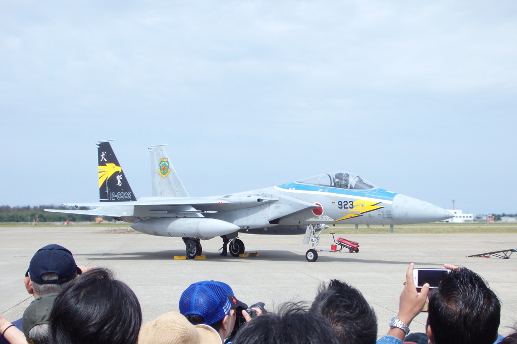 第306飛行隊  ゴールデンイーグル 特別塗装機