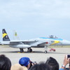 第306飛行隊  ゴールデンイーグル 特別塗装機