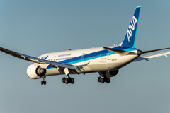 B787　バックショット