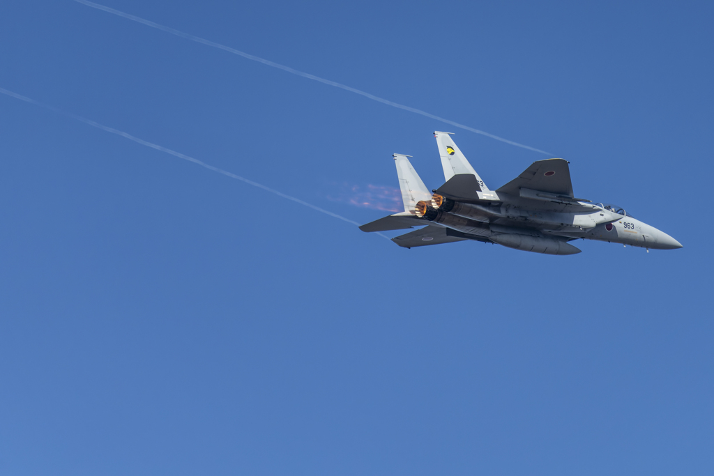 百里基地航空祭のF-15Jを改めて①