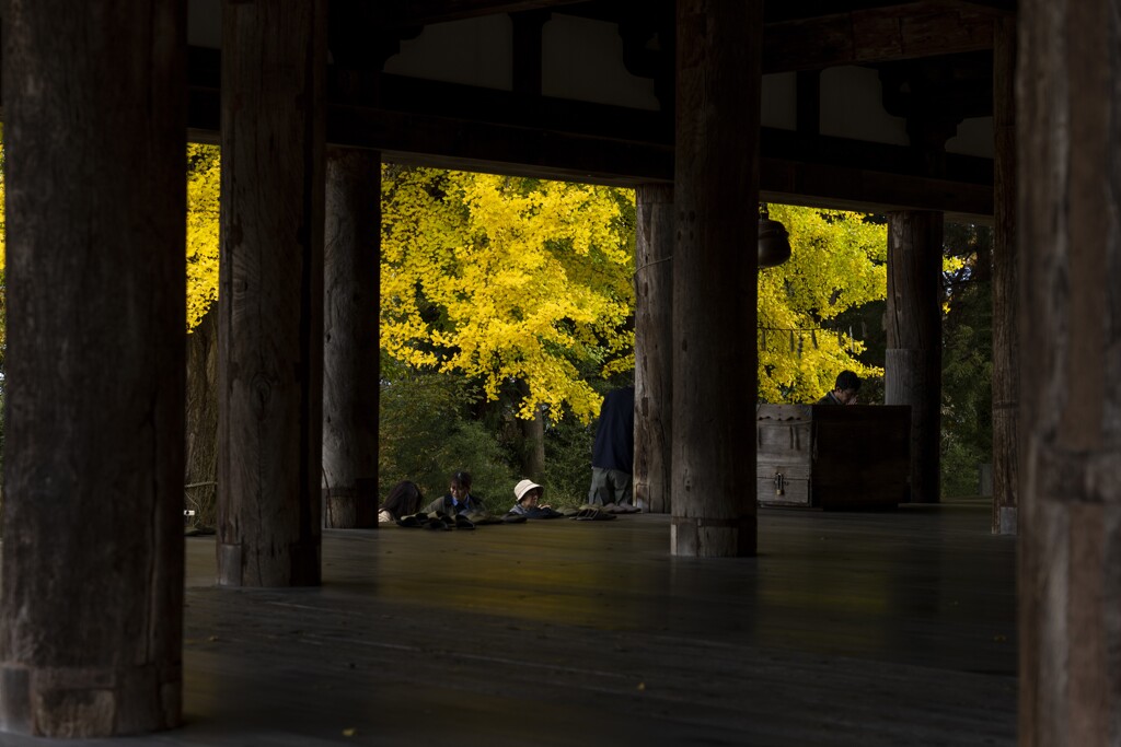 新宮熊野神社の紅葉⑤