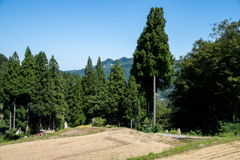 田舎的風景