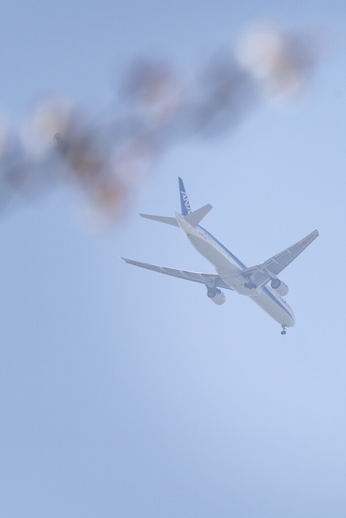 飛行機