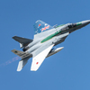 武士道Guardian 日豪共同訓練スペマ機 F-15