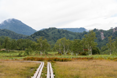 田ノ原湿原