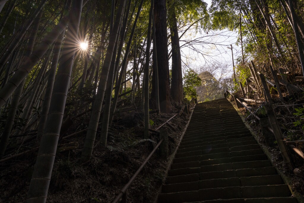 神社への階段