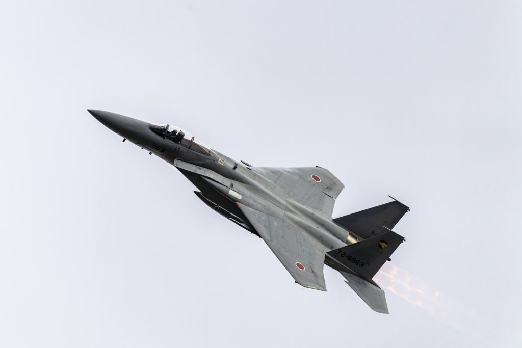 F-15J