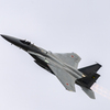 F-15J