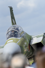 飛行教導群 緑のF-15DJ