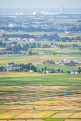 高田平野