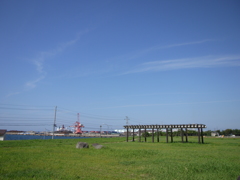カラリと晴れた空と緑